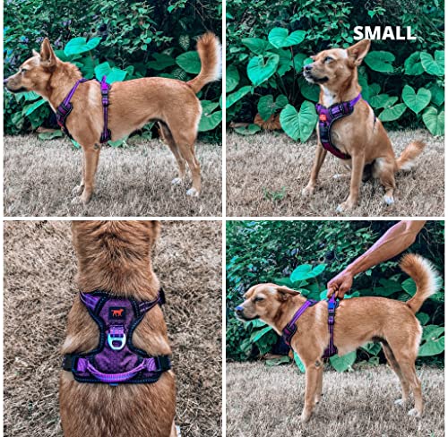 Tuff Pupper No Pull Easy Walk Dog Harness | Heavy Duty Pet Vest | Front & Back Leash Clips | Strong Safety Handle | Reflective Anti Pull Vest | Comfortable Padded Escape Proof Harness (Small, Purple) - color: Purple, size: Small (Neck: 10-17" , Chest: 14-