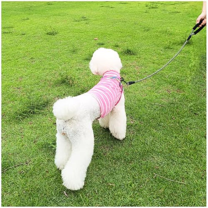 Heavy Duty Rope Dog Leash, 3/4/5/6/7/8/10/12/15/20/30 FT Nylon Pet Leash, Soft Padded Handle Thick Lead Leashes for Large Medium Dogs (Black, 1/2" * 4') - color: black, size: 1/2" * 4'