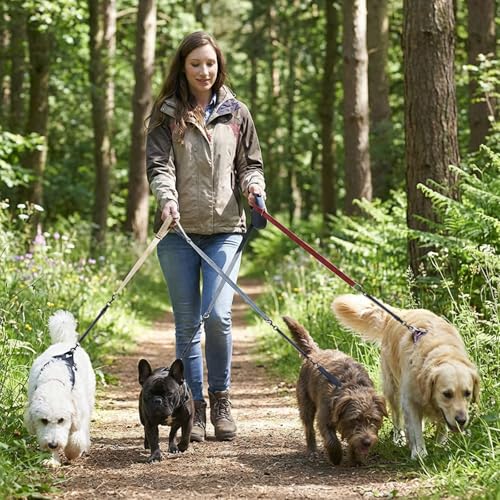 2pcs Reflective Nylon Dog Collar Clips, Double-Ended Backup Dog Collar Safety Clasp Clip Adjustable Harness Connector for Pet, Black