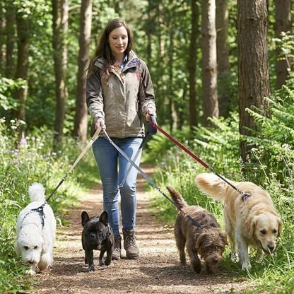 2pcs Reflective Nylon Dog Collar Clips, Double-Ended Backup Dog Collar Safety Clasp Clip Adjustable Harness Connector for Pet, Black