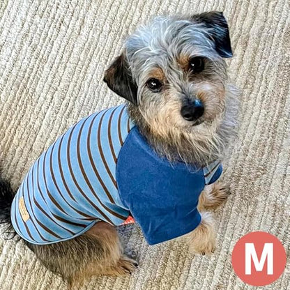 KYEESE 2Pack Dog Sweater, Soft Puppy Sweatshirt Stretchy Pullover Dog Sweater for Small Dogs Boy, Lightweight Fleece Cat Shirt Pet Clothes with Sleeves, M - color: 02# Blue+Stripe, size: Medium (8.5-13lbs)