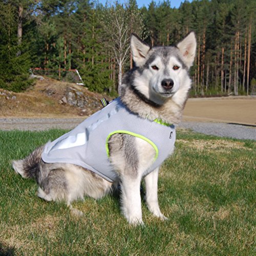SGODA Dog Cooling Vest Harness Cooler Jacket Grey Green Medium - color: grey with green, size: Medium Chest 20.5-24"