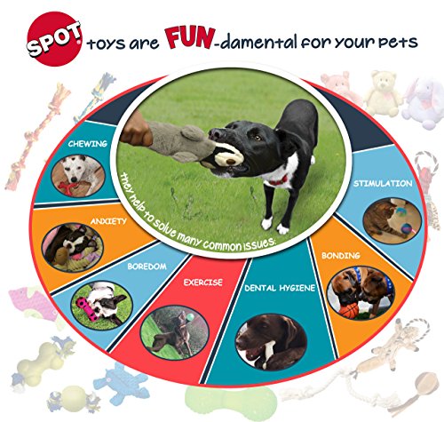 SPOT Skinneeez Chicken 13 Inch Stuffing-Free Plush Squeaky Dog Toy – Soft Interactive Chew Toy for Small and Medium Dogs – Mess-Free Play for Light & Moderate Chewers - style: Mini Chicken