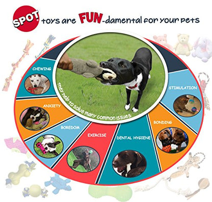 SPOT Skinneeez Chicken 13 Inch Stuffing-Free Plush Squeaky Dog Toy – Soft Interactive Chew Toy for Small and Medium Dogs – Mess-Free Play for Light & Moderate Chewers - style: Mini Chicken