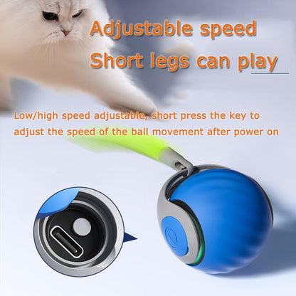 Interactive Cat Toy Ball,Speedy Tail2.0 Cat Toy,Automatic Interactive Cat Toys for Indoor Cats with 2 Tails,2Speeds Rechargeable Cat Enrichment Toys for Small/Medium/Large Cats to Keep Them Busy(Blue) - color: Blue