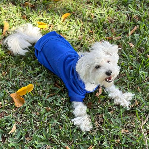 Jecikelon Winter Dog Hoodie Sweatshirts with Pockets Warm Dog Clothes for Small Dogs Chihuahua Coat Clothing Puppy Cat Custume (Dark Blue, XX-Small) - color: Dark Blue, size: XX-Small