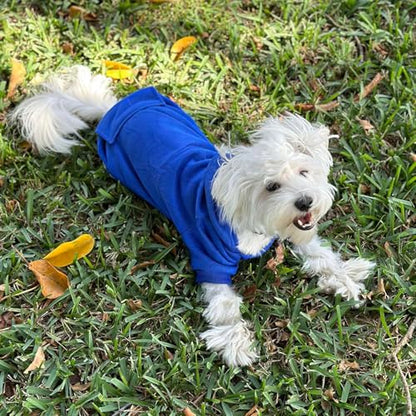 Jecikelon Winter Dog Hoodie Sweatshirts with Pockets Warm Dog Clothes for Small Dogs Chihuahua Coat Clothing Puppy Cat Custume (Dark Blue, X-Small) - color: Dark Blue, size: X-Small