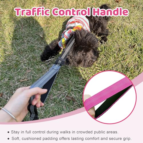 Double Dog Leash - No Tangle Splitter for Two Dogs, Coupler with Adjustable Long Lead Rope, Dual Control Handles, Retractable No Pull Bungee, Walk Train Small Medium Large 2 Pets (Fuchsia) - color: Fuchsia