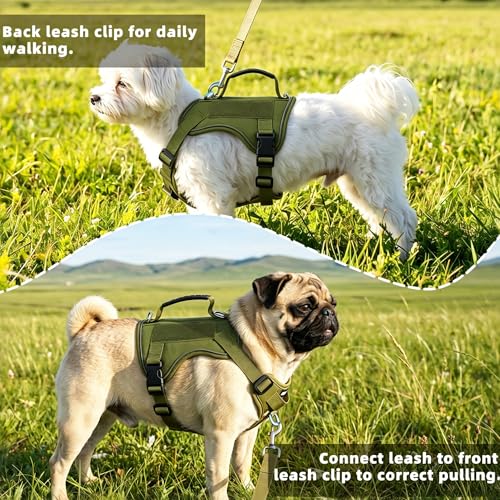 AIITLE Medium Dog Harness No Pull, Reflective Adjustable Vest with Handle, No Choke Design, Dual Metal Leash Clips for Walking Training Running Camping, Small Medium Breeds - Green M - color: Green, size: M
