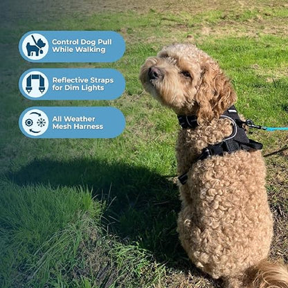 Voyager Dog Harness Dual Leash Attachment No-Pull Control Adjustable Soft but Strong Pet Harness for Medium and Large Dogs with 3M Reflective Technology, Black Nylon, XS (Chest: 13-16") - color: Black Nylon, size: XS (Chest: 13 - 16")