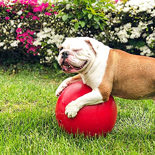 Jolly Pets Push-n-Play Ball Dog Toy, 10 Inches/Large, Red (310 RD) - color: Red, size: 10 Inches/Large
