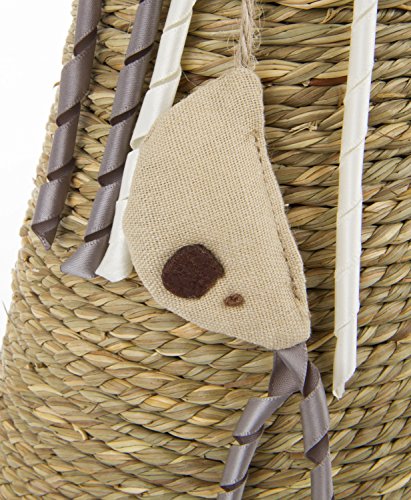 Petlinks Claw Cone Seagrass Cat Scratcher, Catnip Included - Tan, One Size - color: Claw Cone