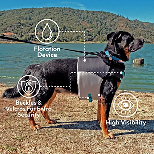 ZippyPaws Adventure Dog Lifejacket, Swimming Vest for Dogs & Puppies, Life Jacket for Swim Training Small Medium & Large Dogs - Teal, Small