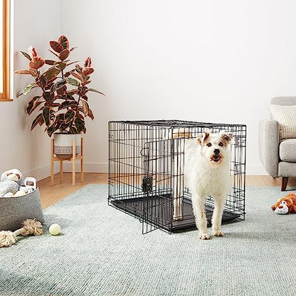 Amazon Basics Portable, Easy to Assemble, Foldable Metal Wire Dog Crate with Removable Tray, Double Door, Divider Panel, Handle, 36" x 23" x 25", Black - size: 36.0"L x 23.0"W x 25.0"H, style: Double Door w/ Divider