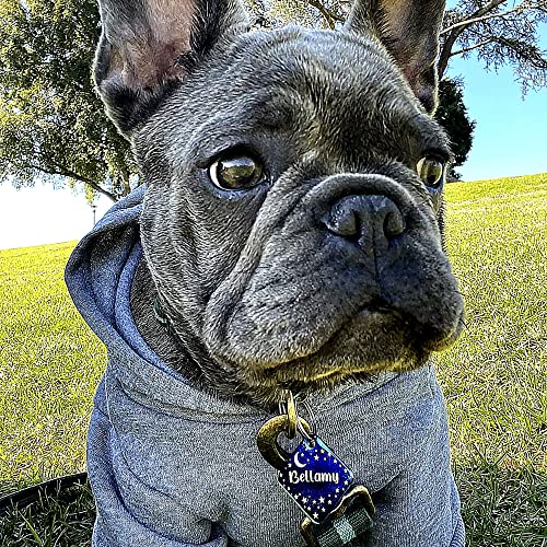 Personalized Dog Tag with 5 Lines of Custom Deep Engraved Durable Stainless Steel Pet ID Name Tag Designer Regular Size Diamond - size: Regular, style: Diamond