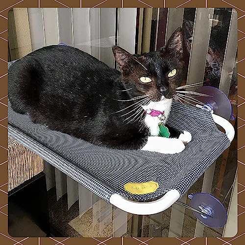 Cat Window Perch with 360° Sunbath, Hammock Bed for Indoor Cats, Grey Comfortable Seat for Sunbathing, Easy to Install on Any Window (Large)