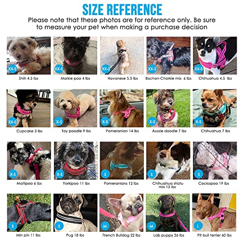 Lukovee No Pull Dog Harness and Leash Set, Soft Padded Small Dog Harness, Neck & Chest Adjustable Reflective Vest Puppy Harness with 4ft Lightweight Anti-Twist Dog Leash for Small Dogs (S, Purple) - color: A-Purple, size: S ( Chest 17.5'' ~ 22'')