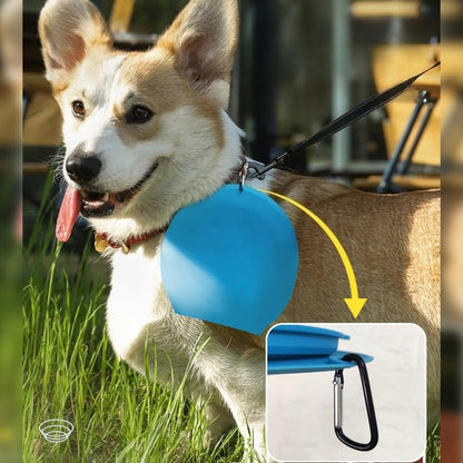 Silicone Collapsible Dog Bowl with Carabiner Clip, 2-in-1 Foldable Double Pet Food & Water Travel Bowl, Portable No-Spill Design for Walking Hiking Camping (Gray)