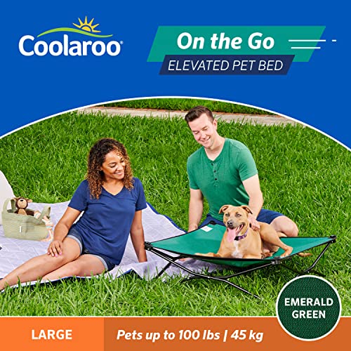 Coolaroo On-The-Go Elevated Dog Bed - Foldable Pop-Up Travel Dog Bed with Breathable, Moisture-Resistant Fabric, Carry Bag Included, Lightweight & Portable, Emerald Green, Large - color: Emerald Green, style: Large