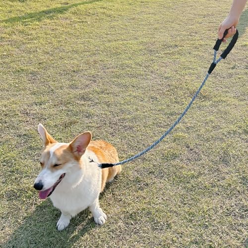 3FT Heavy Duty Rope Dog Leash, 6/8/10/12/15/20/30 FT Long Dog Lead Nylon Pet Leash, Soft Padded Handle Thick Lead Training Leashes for Large Medium Dogs (3ft * 1/2", Blue Black) - color: blue black, size: 1/2" * 3'