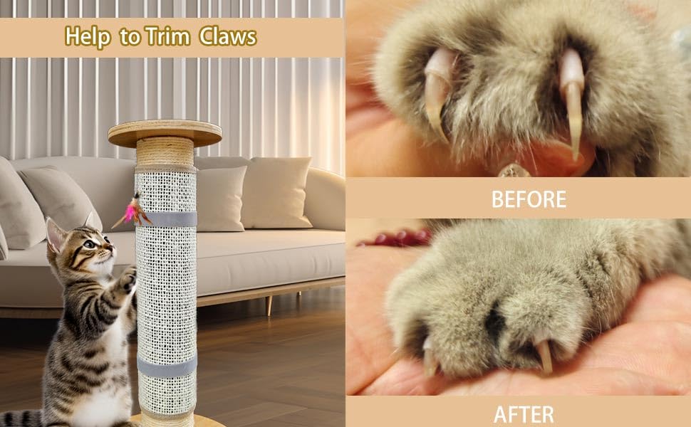 Cat Nail File Scratcher with 80-Grit Aluminum Oxide - Wrap-Around Design for Nail Trimming & Scratching Post Repair | Cat Scratchers That File Nails (Post Style1PCS) - size: 14.80"x11.10"-Post Style 1PCS