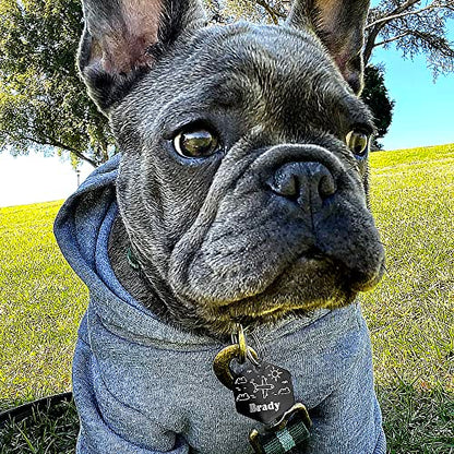 Personalized Dog Tag with 5 Lines of Custom Deep Engraved Durable Stainless Steel Pet ID Name Tag Designer Regular Size Hexagon - size: Regular, style: Hexagon
