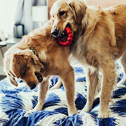 KONG Ring & Goodie Ribbon - Durable Rubber Treat-Dispensing Chew Toy for Dental Health - for Medium Dogs - size: Medium