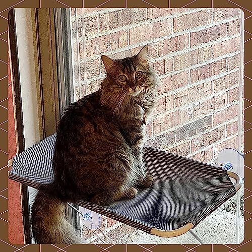 Cat Window Perch with 360° Sunbath, Hammock Bed for Indoor Cats, Grey Comfortable Seat for Sunbathing, Easy to Install on Any Window (Large)