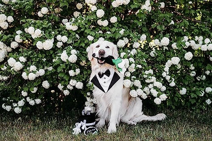 ZippyPaws Wedding Dog Toys - Wedding Ring Box Burrow, Gifts for Dog Couples, Fun Dog Engagement Toys for Photos, Rehearsals, After-Parties, and Wedding Gifts