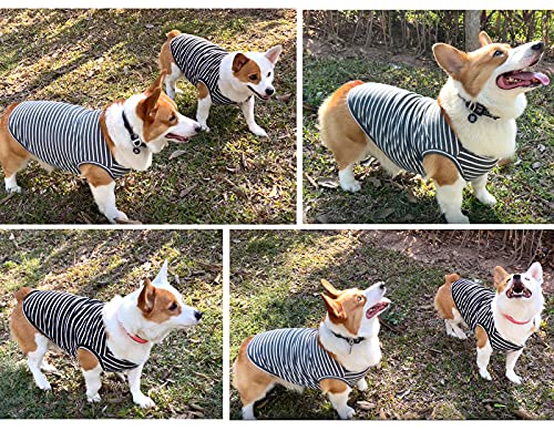 Dog Shirt Vest Lightweight Stretchy Dog T-Shirts Soft Cool Shirts Sleeveless Stripe Vests Breathable Clothes for Puppy Kitty Cats Small Medium Large Dogs 2 Pack Black + Grey [ M/Medium ] - color: Black + Grey, size: M-(6~9lb) | Chest(~15.3")