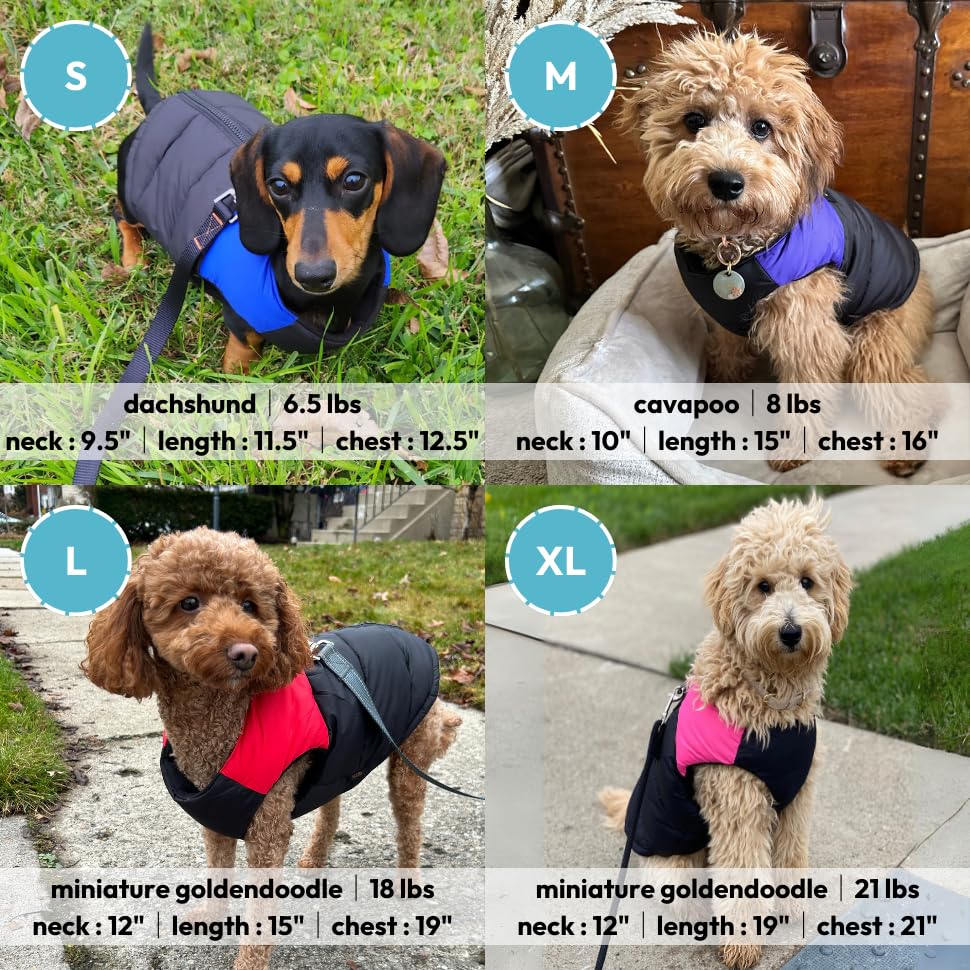 Gooby Padded Vest Dog Jacket - Blue, X-Small - Warm Zip Up Vest Fleece Jacket with Dual D Ring Leash Water Resistant for Small to Medium Dogs - color: Blue, size: X-Small