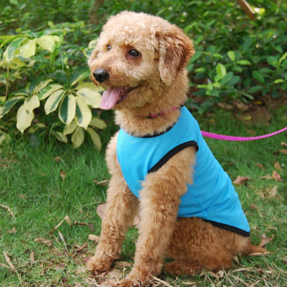 ERINGOGO Pet Summer Vest for Dogs and Puppies Mesh Sleeveless Shirt Blue M Plain Puppy Clothes Breathable Pet Shirt for Warm Weather