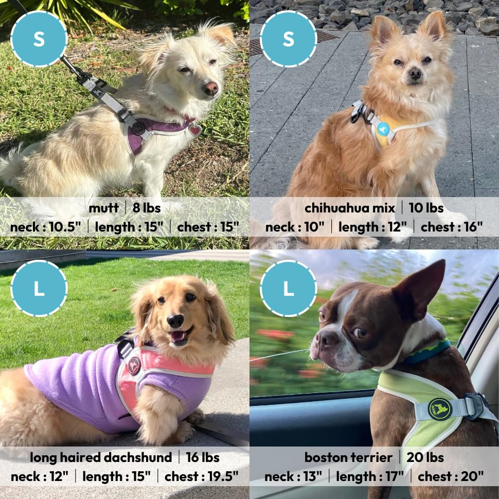 Gooby Simple Step in III Harness - Green, Large - Small Dog Harness with Scratch Resistant Outer Vest - Soft Inner Mesh Harness for Small, Medium Dogs - color: Green, size: Large chest (18.5∼23.75")