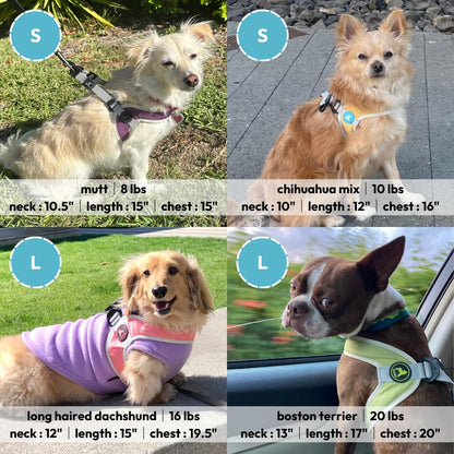 Gooby Simple Step in III Harness - Yellow, Large - Small Dog Harness with Scratch Resistant Outer Vest - Soft Inner Mesh Harness for Small, Medium Dogs - color: Yellow, size: Large chest (18.5∼23.75")