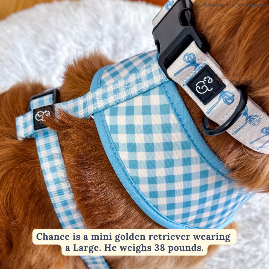 Lucy & Co. Dog Collar - Durable Lightweight Designer Collar for Pets - Adjustable Metal Safety Buckel - Small - White with Blue Bows - color: Bowwow Wow!, size: Small
