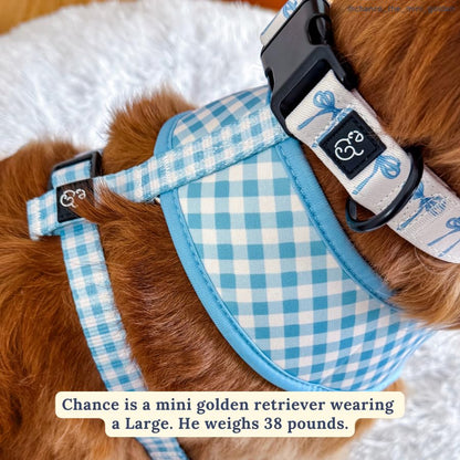 Lucy & Co. Dog Collar - Durable Lightweight Designer Collar for Pets - Adjustable Metal Safety Buckel - Small - White with Blue Bows - color: Bowwow Wow!, size: Small