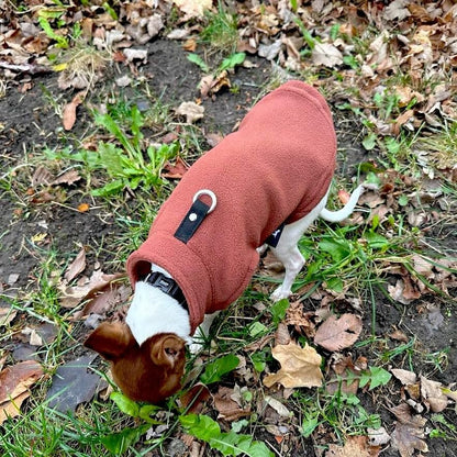 JACKO & CO - Fleece Vest Dog Sweater with Leash Ring - Soft, Warm & Lightweight Pullover Coat for Small & Medium Dogs, Puppies & Cats - Cozy Fall/Winter/Spring Pet Jacket (Chocolate Brown, XS (2-4lbs) - color: Chocolate Brown, size: XS (2-4lbs)
