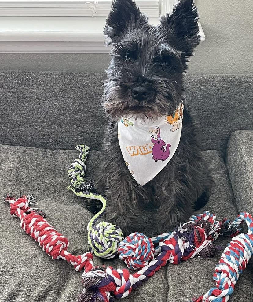 Pacific Pups Products Dog Rope Toys for Medium Dogs & Small Dogs 5 Pack - Puppy Teething Toys and Small Dog Toys - 5 Puppy Chew Toys for Teething - size: 5 Pack