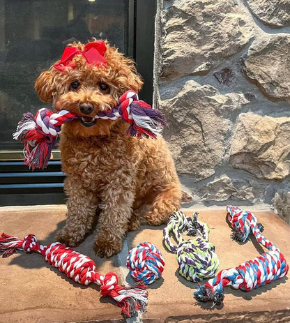 Pacific Pups Products Dog Rope Toys for Medium Dogs & Small Dogs 5 Pack - Puppy Teething Toys and Small Dog Toys - 5 Puppy Chew Toys for Teething - size: 5 Pack