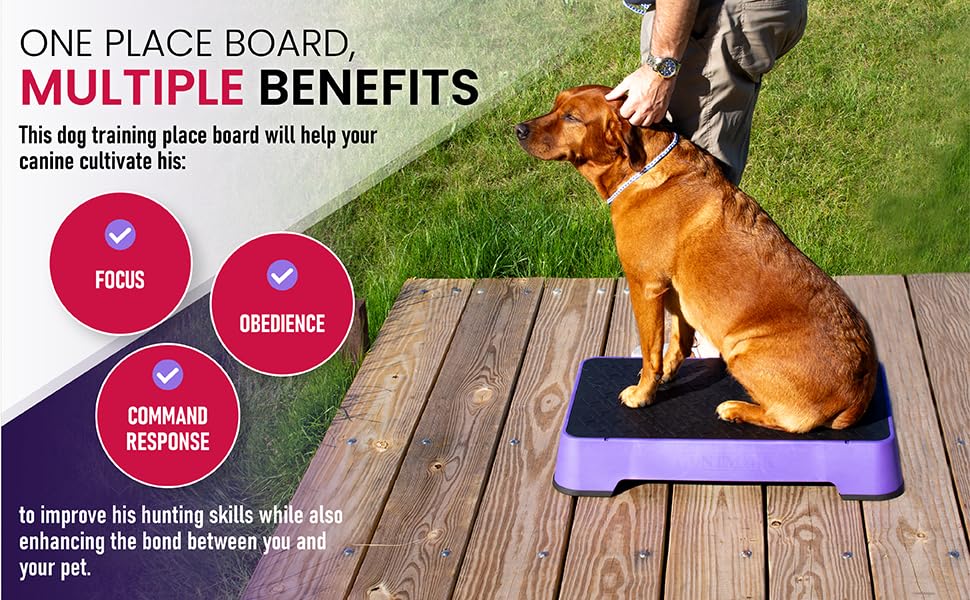 HUNTMARK Dog Training Place Board - Durable Hunting Dog Training Platform - Non-Skid Surface and Nonslip Feet - Stackable, Portable Agility Platform - Modern Puppy Trainer Equipment (Purple) - color: Purple