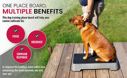 HUNTMARK Dog Training Place Board - Durable Hunting Dog Training Platform - Non-Skid Surface and Nonslip Feet - Stackable, Portable Agility Platform - Modern Puppy Trainer Equipment (Gray) - color: Gray
