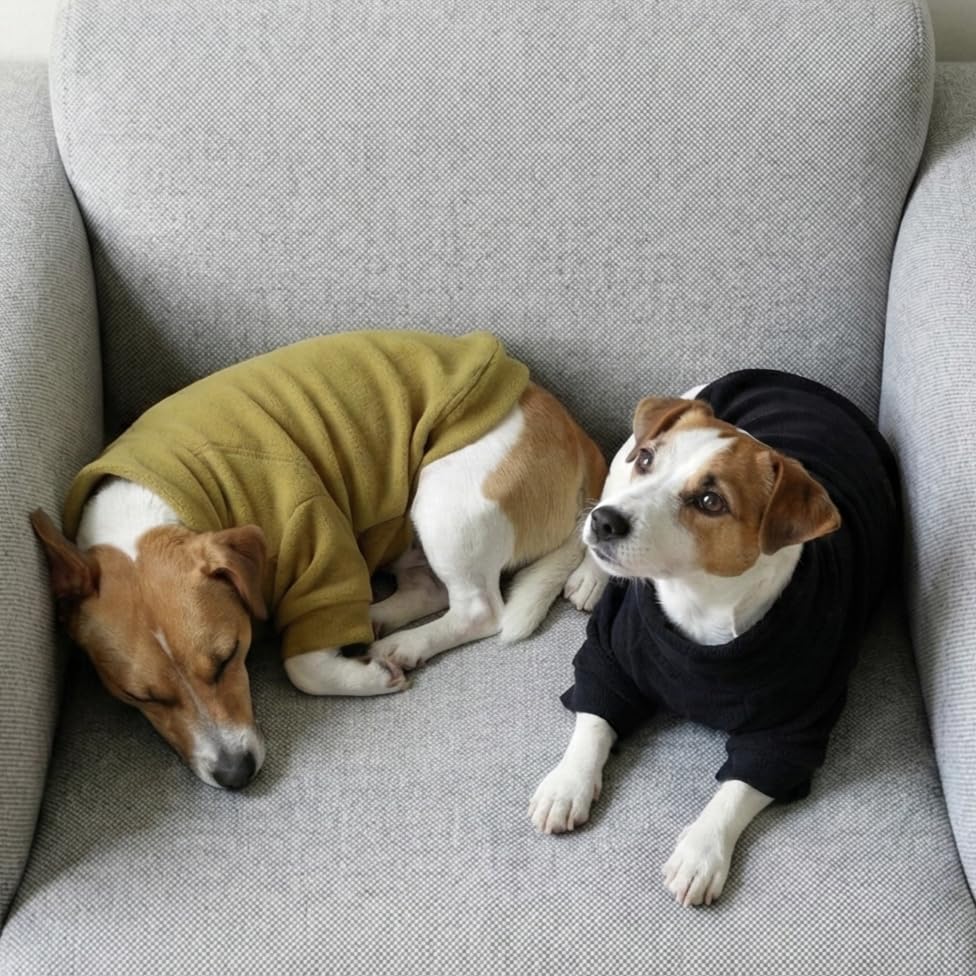 Fitwarm 3 Pack Classic Fleece Dog Sweater, Winter Clothes for Small Dogs Boy Girl, Turtleneck Dog Sweatshirt, Pet Pullover Jumper, Cat Apparel, Black, Olive Green, Cream, Medium - color: Black-Olive-Cream, size: Medium