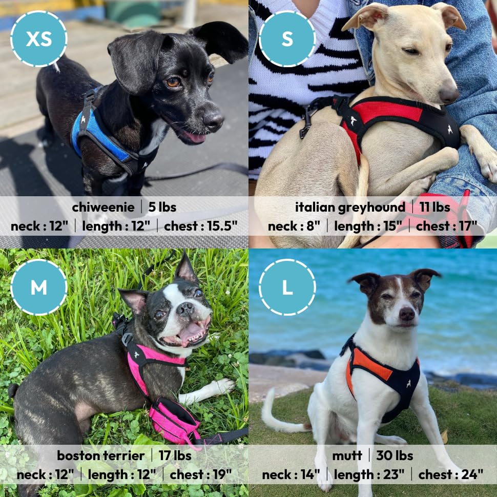 Gooby - Escape Free Easy Fit Harness, Small Dog Step-in Harness for Dogs that Like to Escape Their Harness, Turquoise, Small - color: Turquoise, size: Small chest (16~19.25")