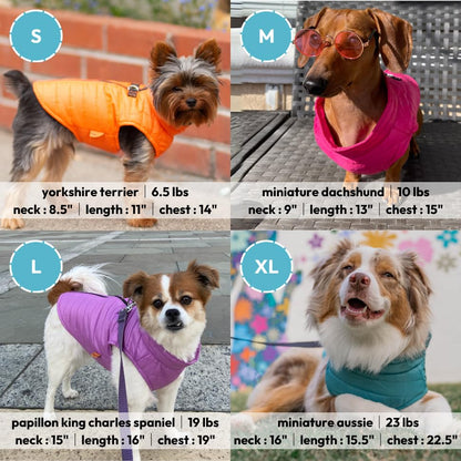 Gooby Puffer Vest - Turquoise, X-Small - Ultra Thin Zip Up Wind Breaker with Dual D Ring Leash - Water Resistant Small Dog Sweater Coat - Boy or Medium - color: Turquoise, size: X-Small chest (12")